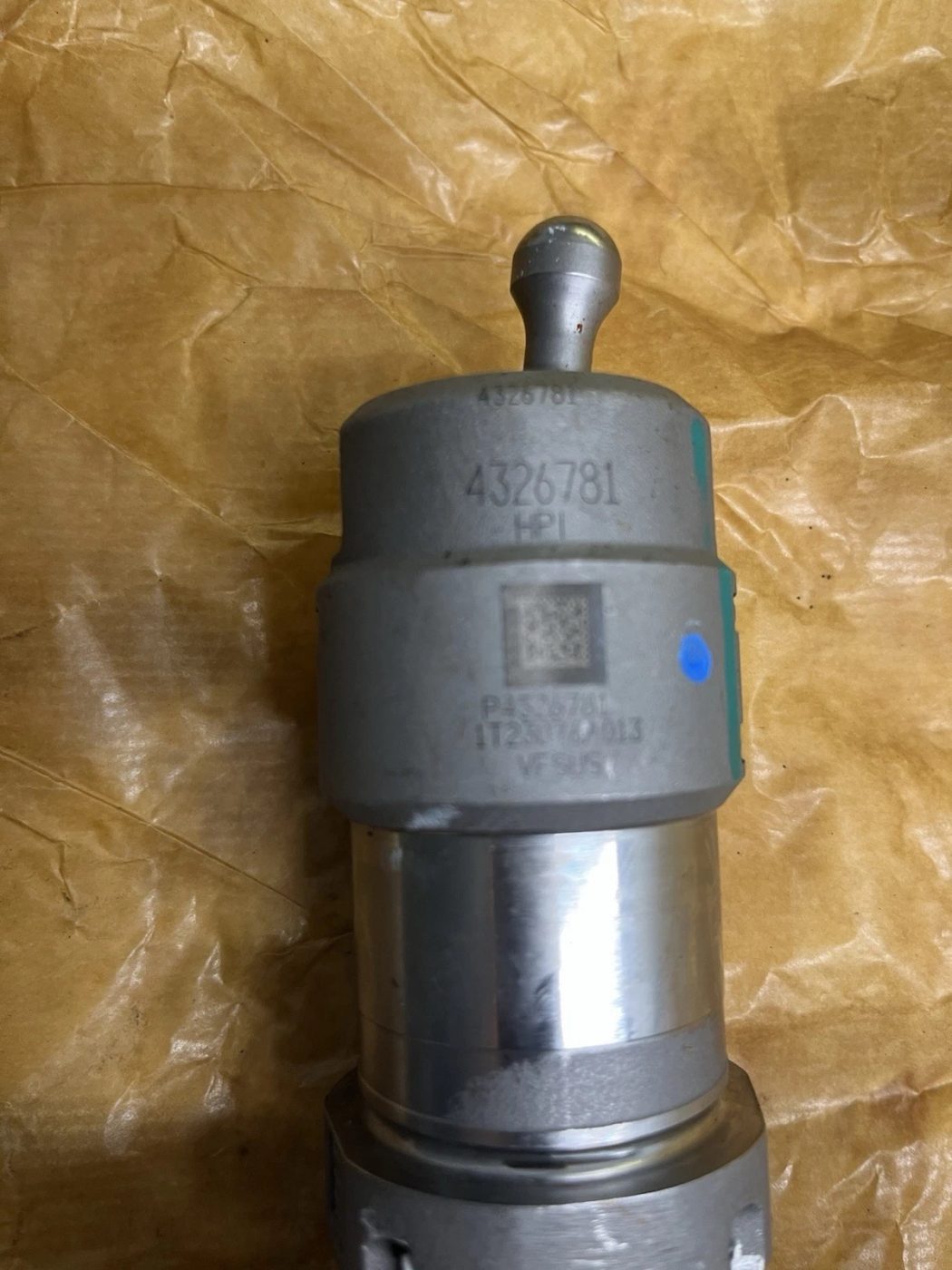 4326781 photograph 5