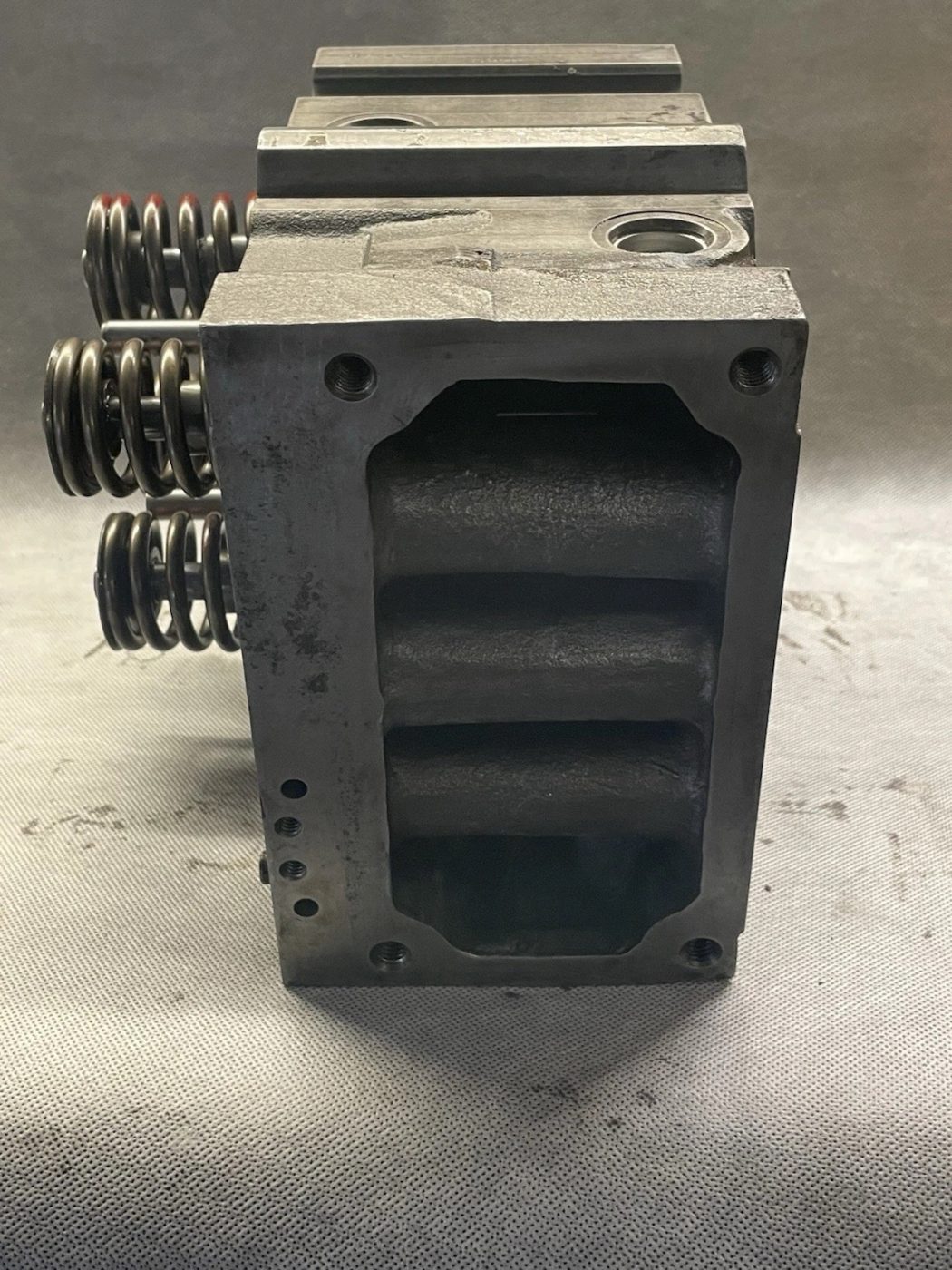 3811985 photograph 4
